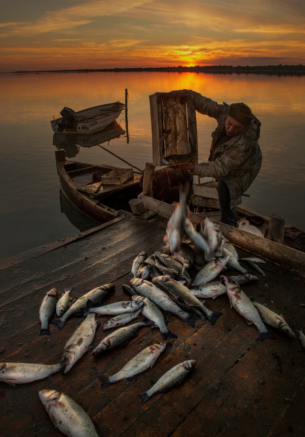 Fisherman Poster och Canvastavla