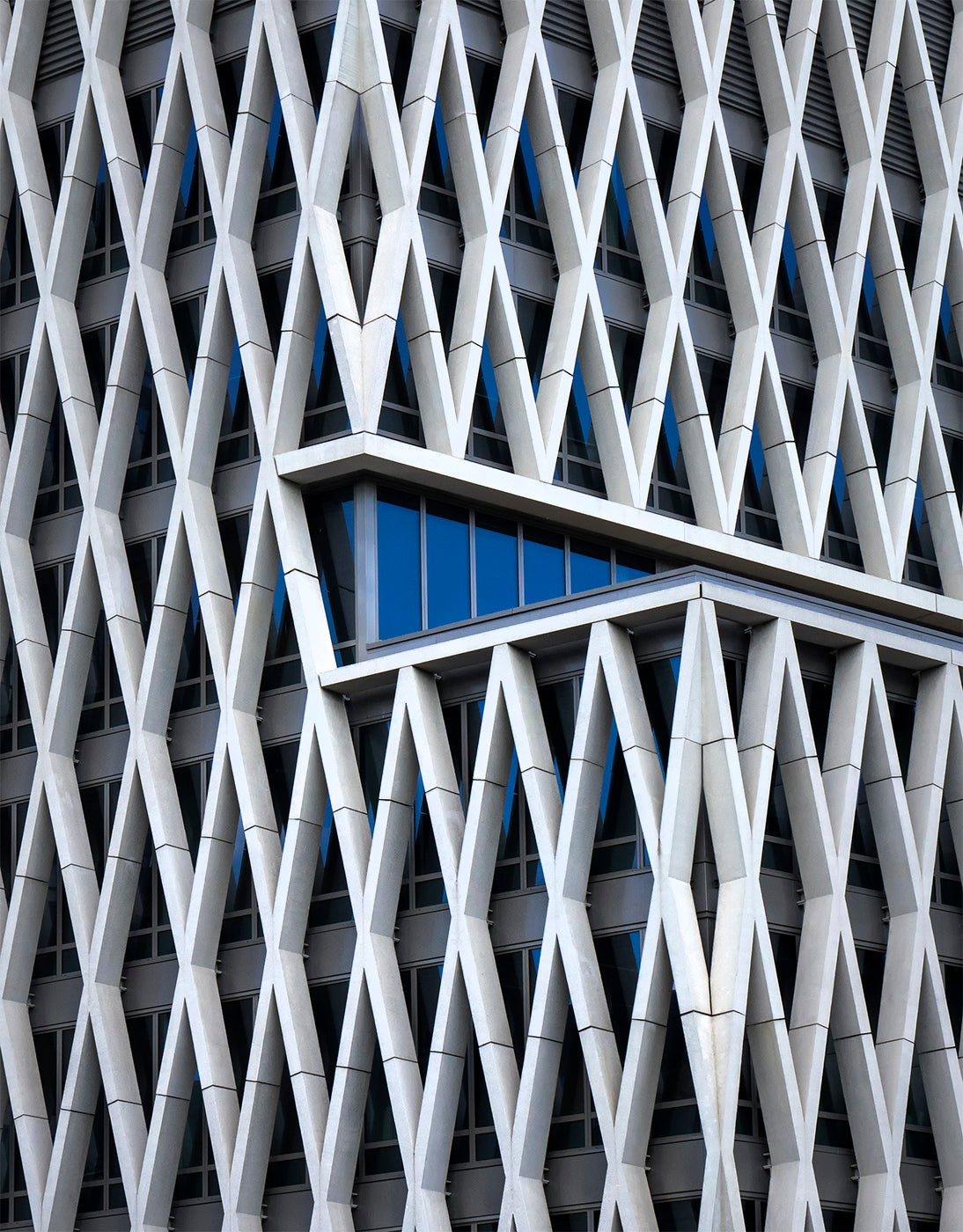 A hint of blue Poster och Canvastavla