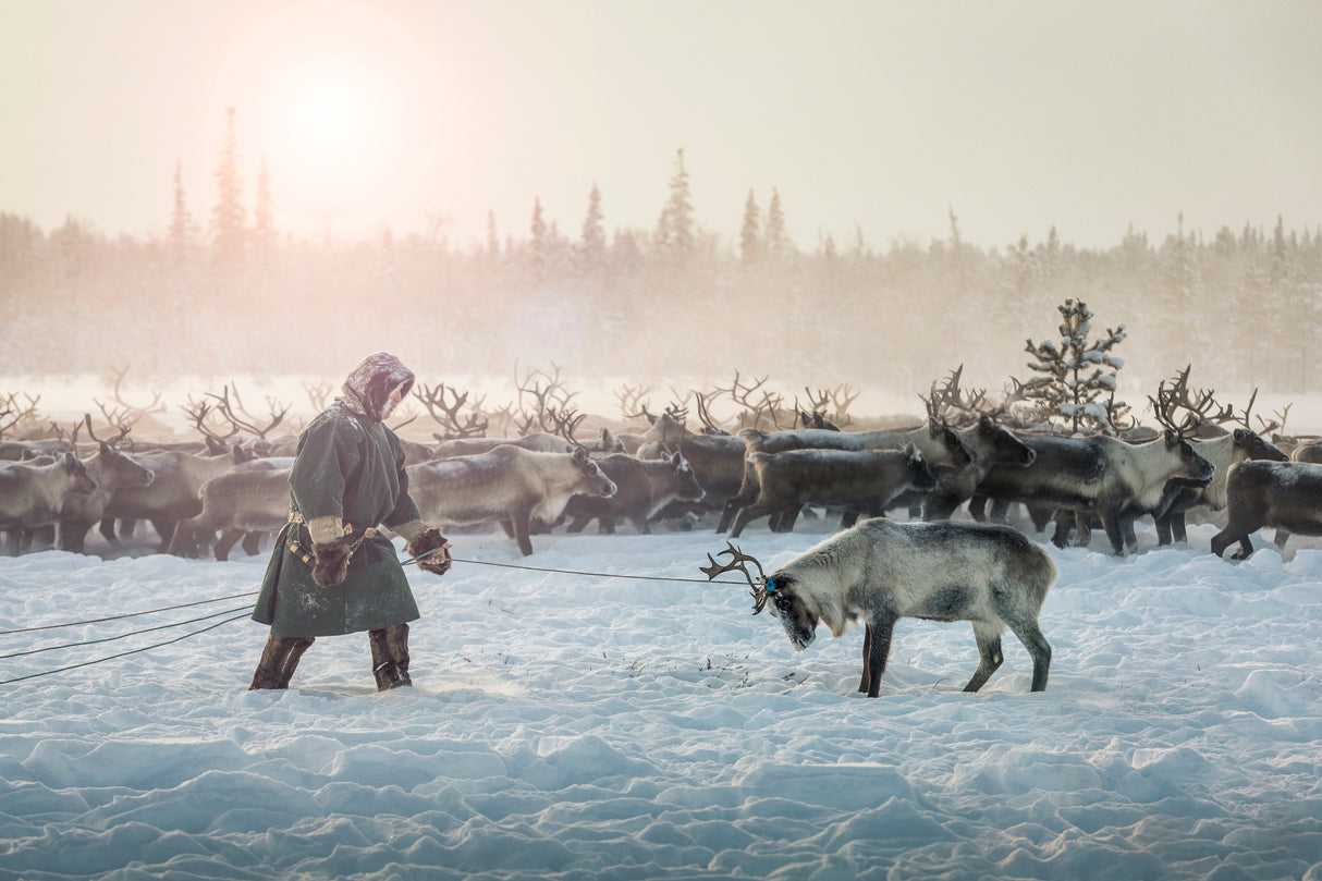 Hunting II Poster och Canvastavla