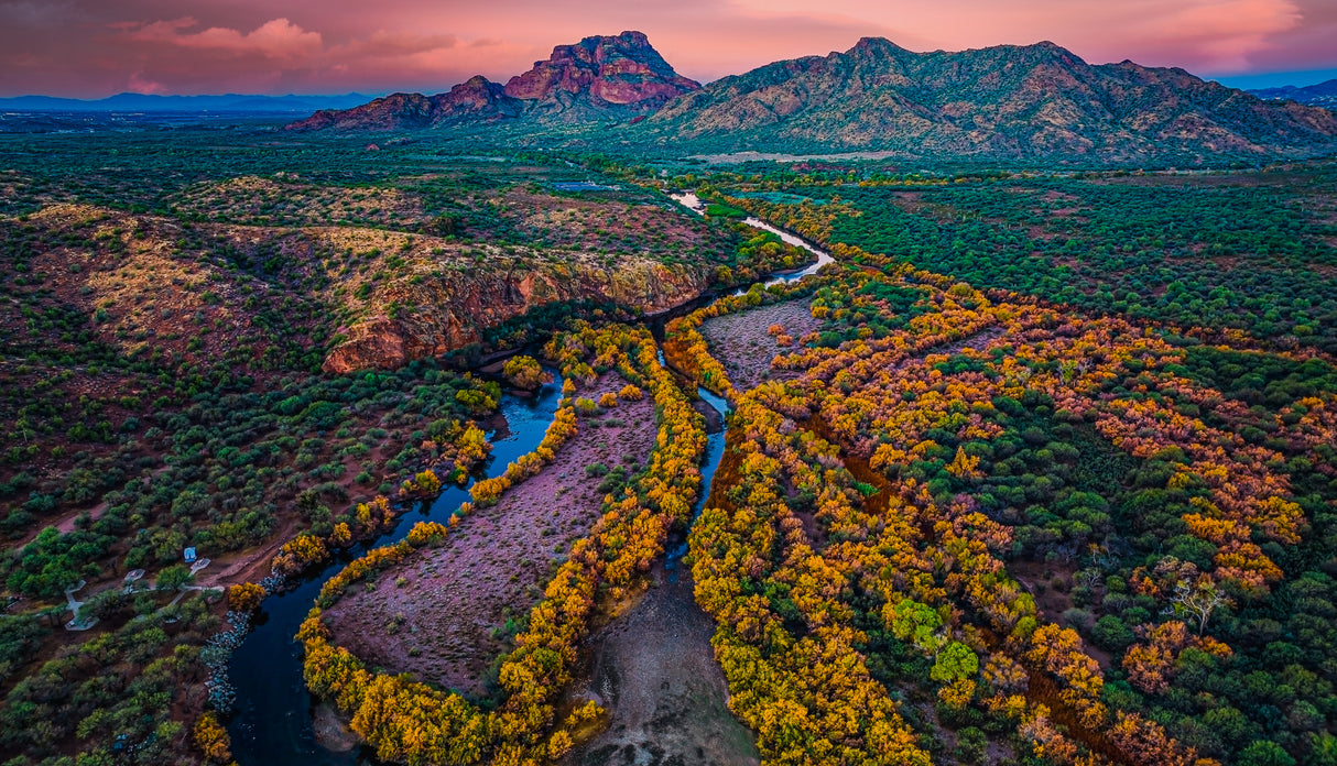 Morning at Salt River Poster och Canvastavla