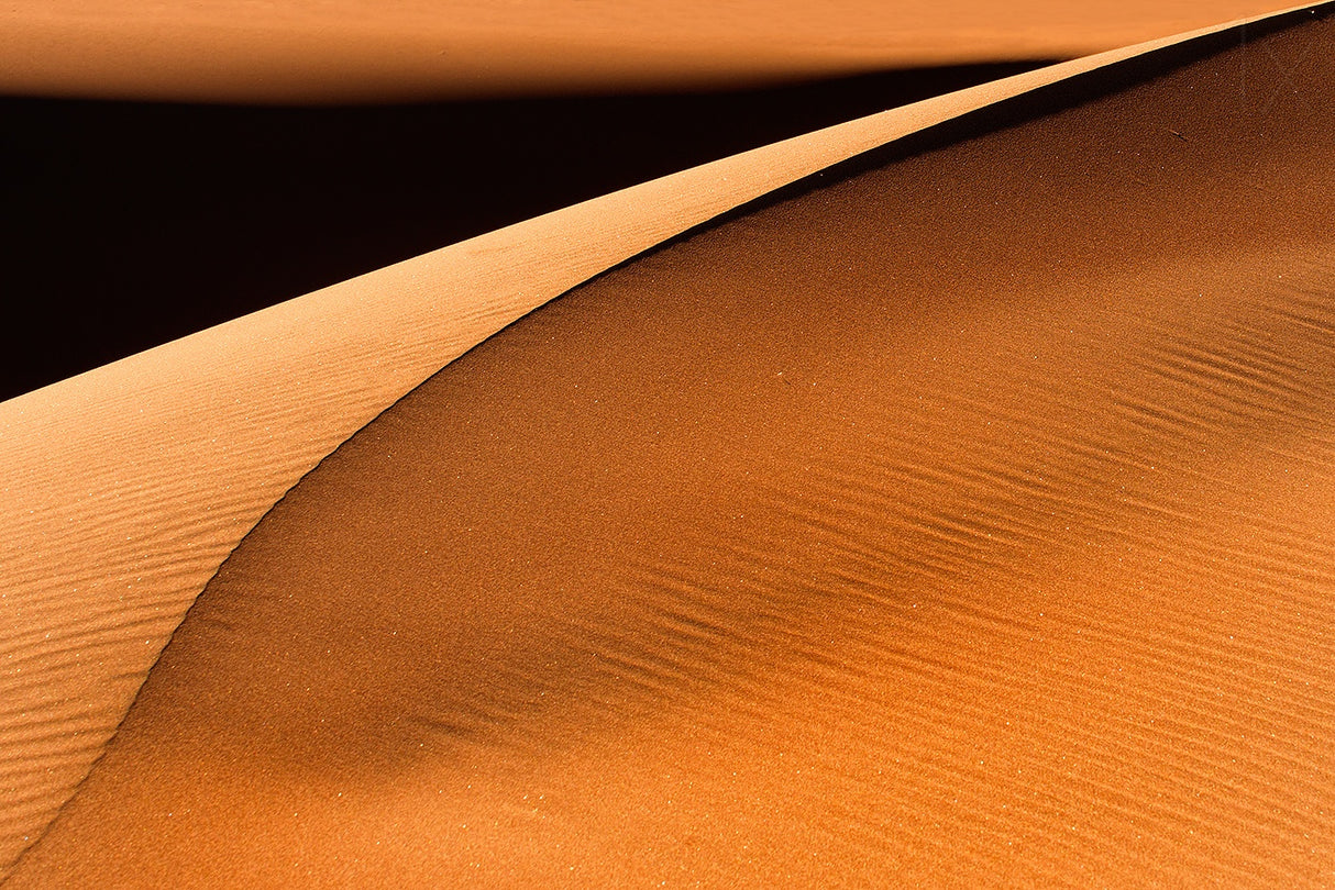 Golden Dunes Poster och Canvastavla