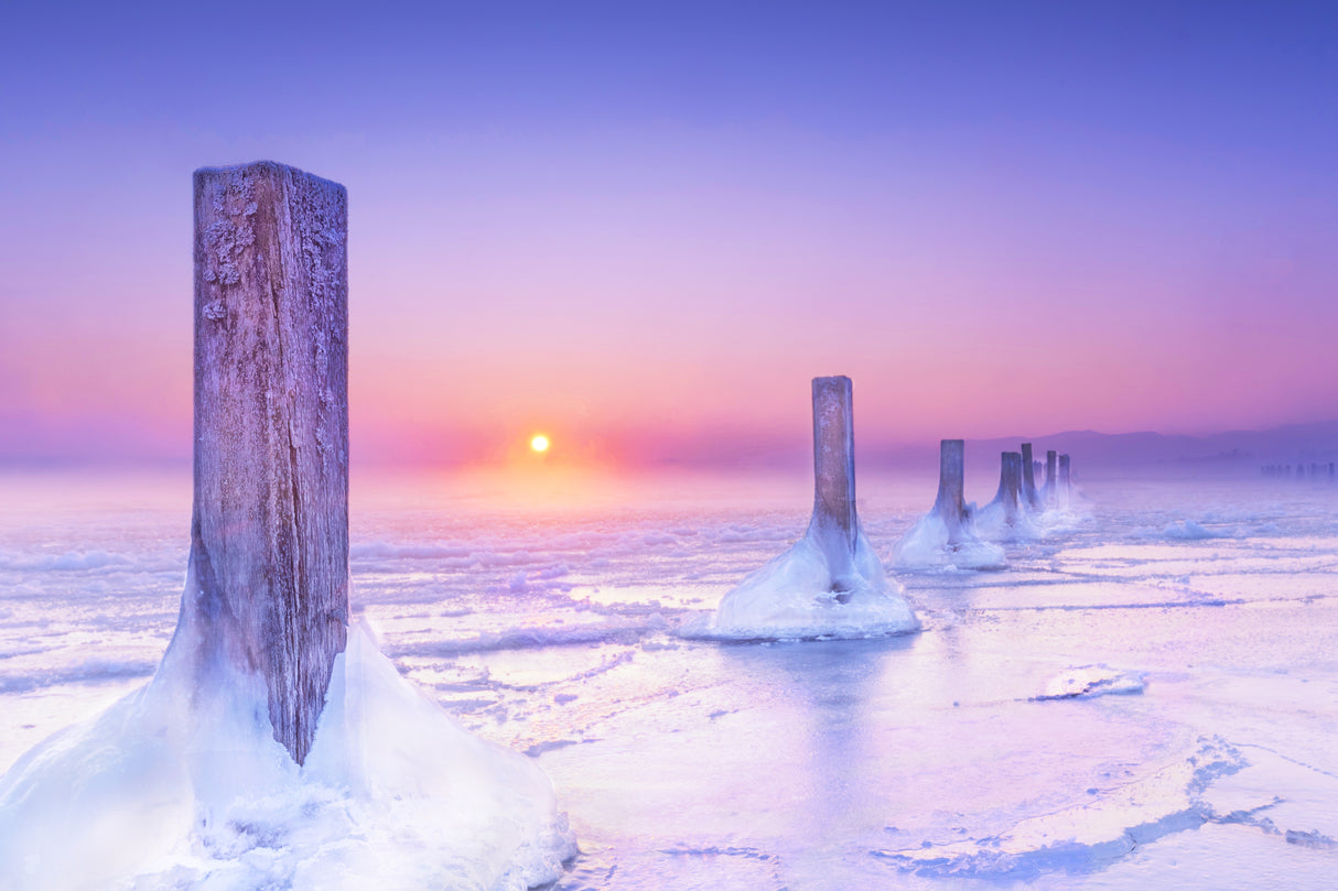 Icy Harbour Poster och Canvastavla