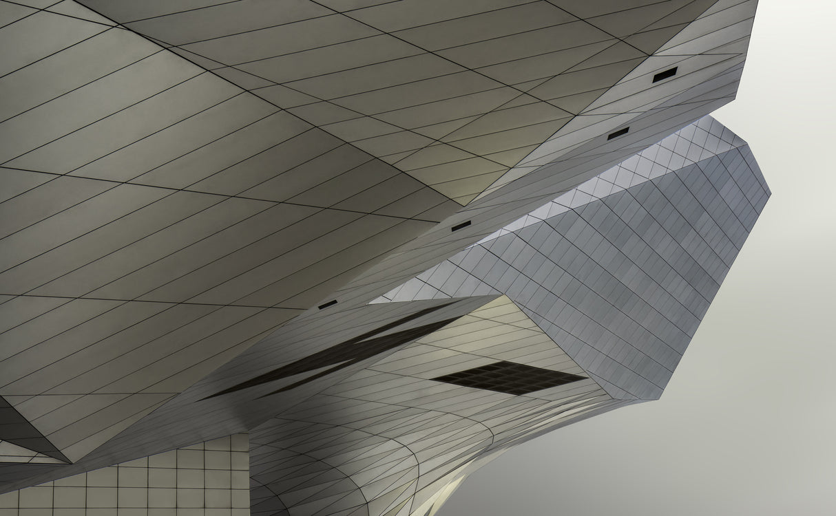 Musée des Confluences Poster och Canvastavla