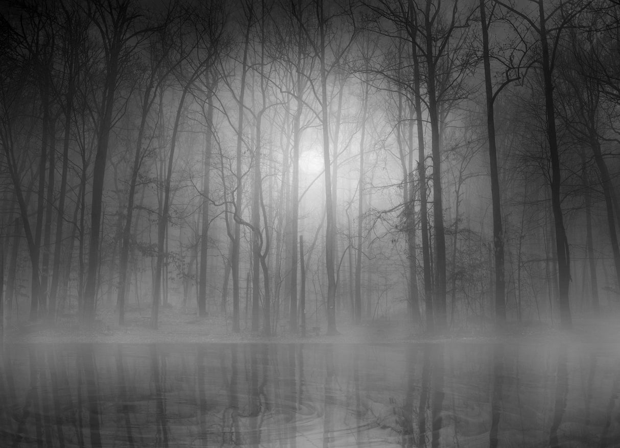 Morning Mist Poster och Canvastavla