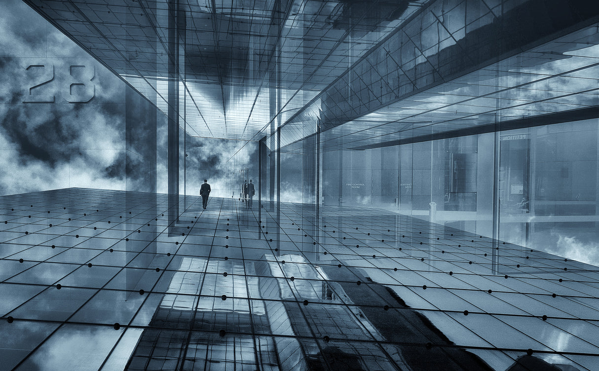 Visionary Poster och Canvastavla