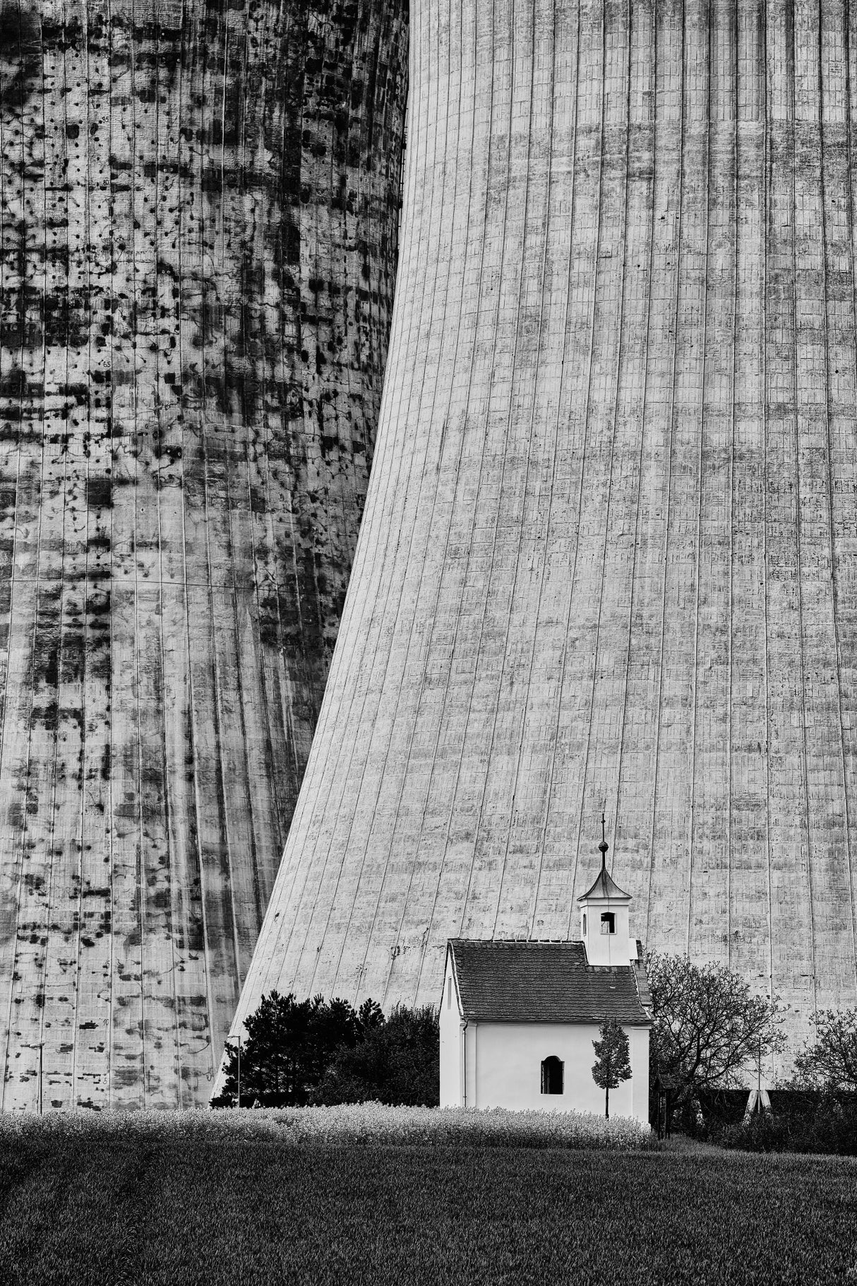 david and goliath Poster och Canvastavla