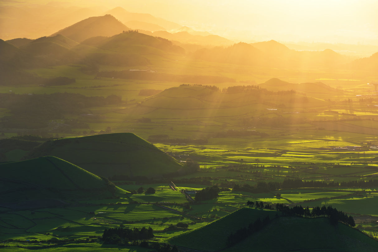 Rays of Hope Poster och Canvastavla