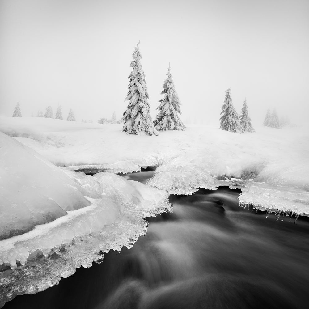 Ice creek... Poster och Canvastavla