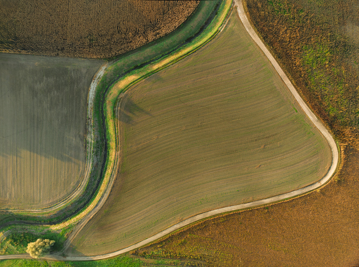 Drava fields Poster och Canvastavla
