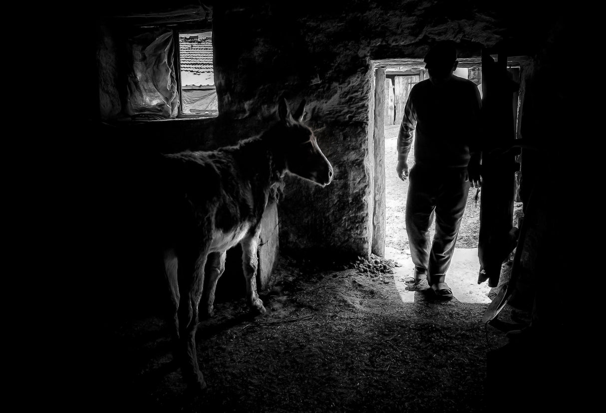 Black&White Poster och Canvastavla