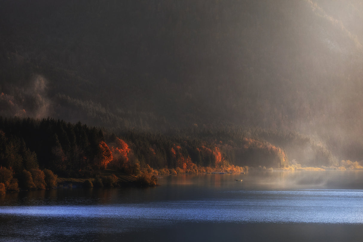 autumn light Poster och Canvastavla
