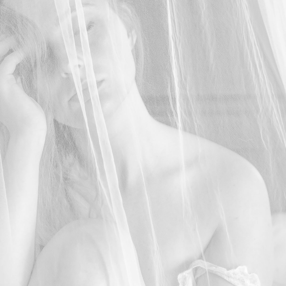 Little secrets Poster och Canvastavla