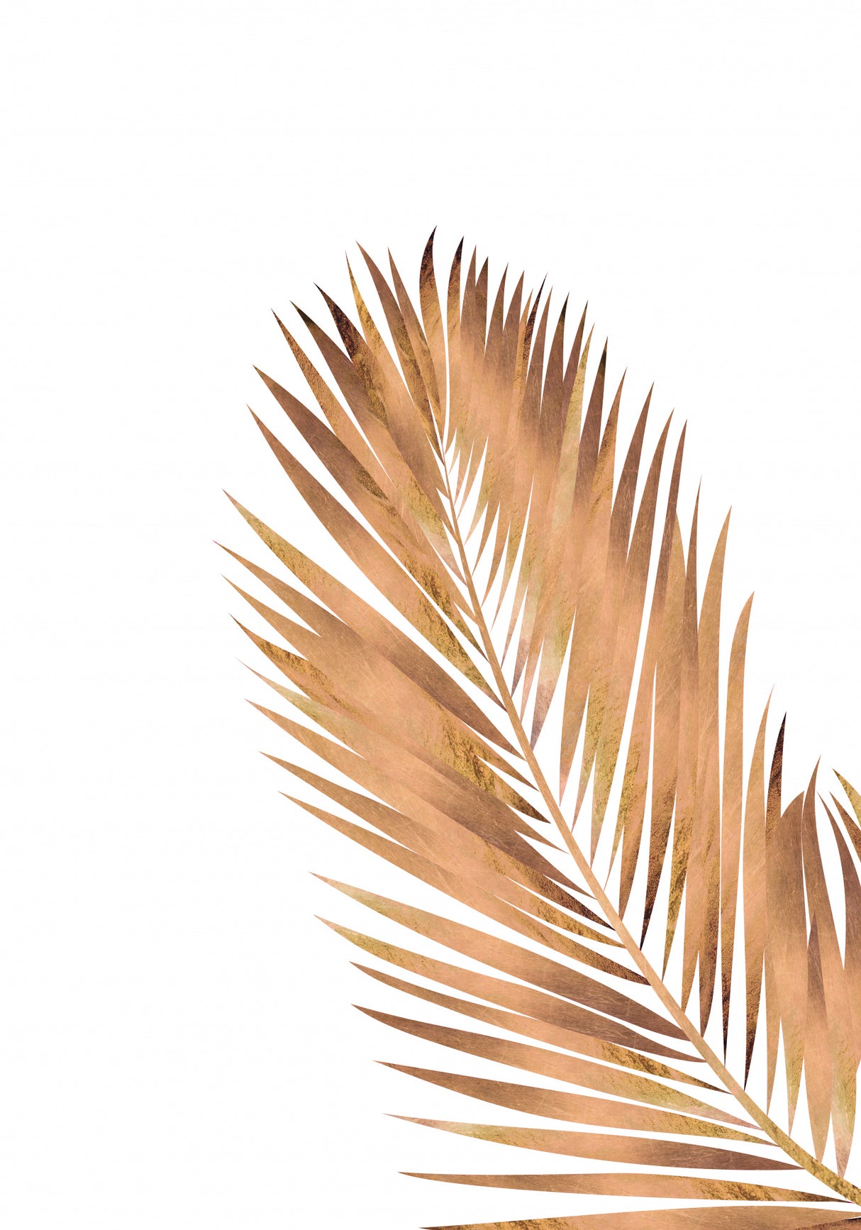 Copper Gold Palm Leaf 2 Poster och Canvastavla