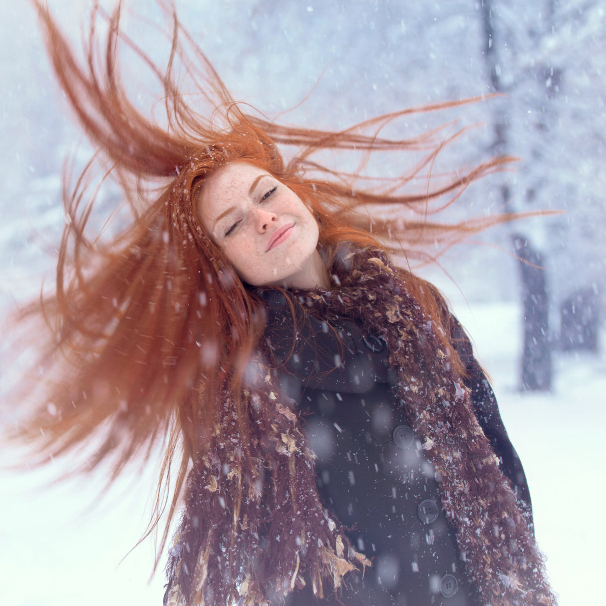 Snow girl Poster och Canvastavla