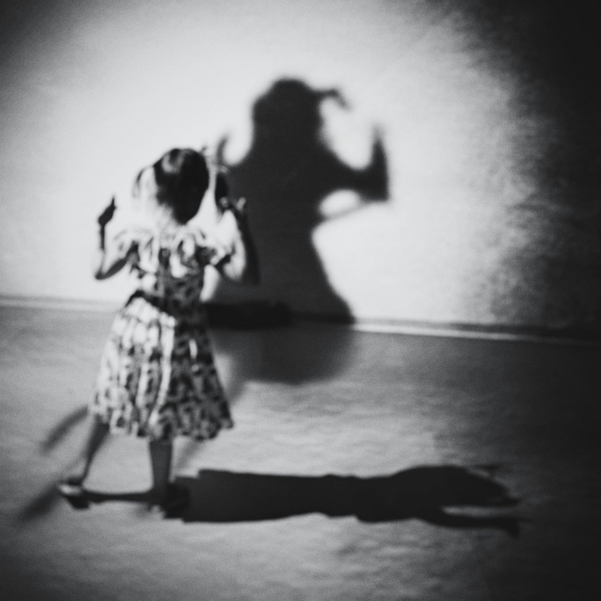 Shadow play Poster och Canvastavla