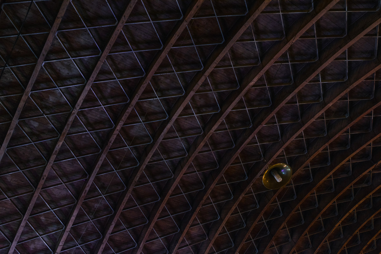 roofing Poster och Canvastavla