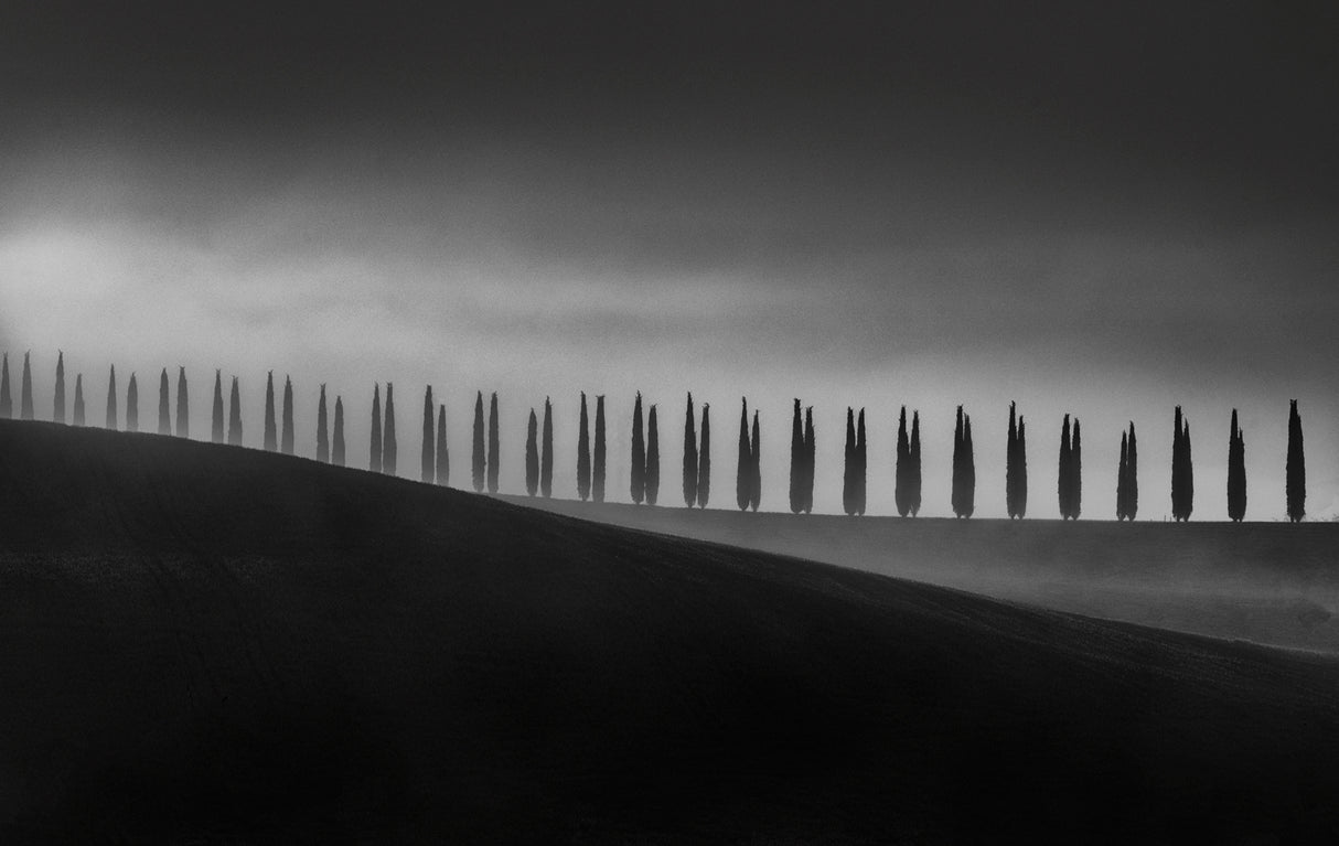 TUSCANY Poster och Canvastavla
