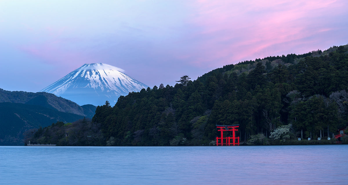 Pink Fuji Poster och Canvastavla