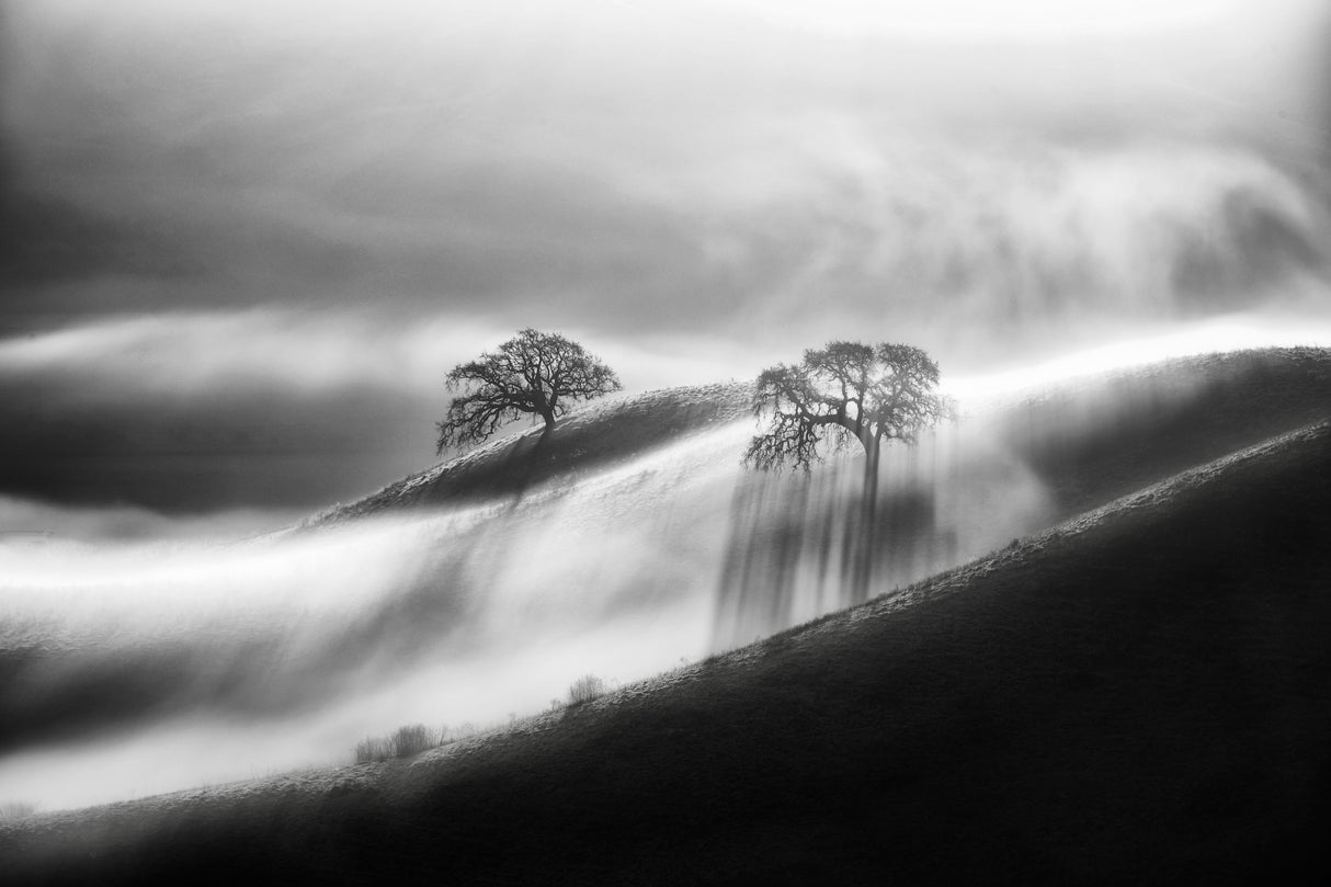 Under The Morning Fog Poster och Canvastavla