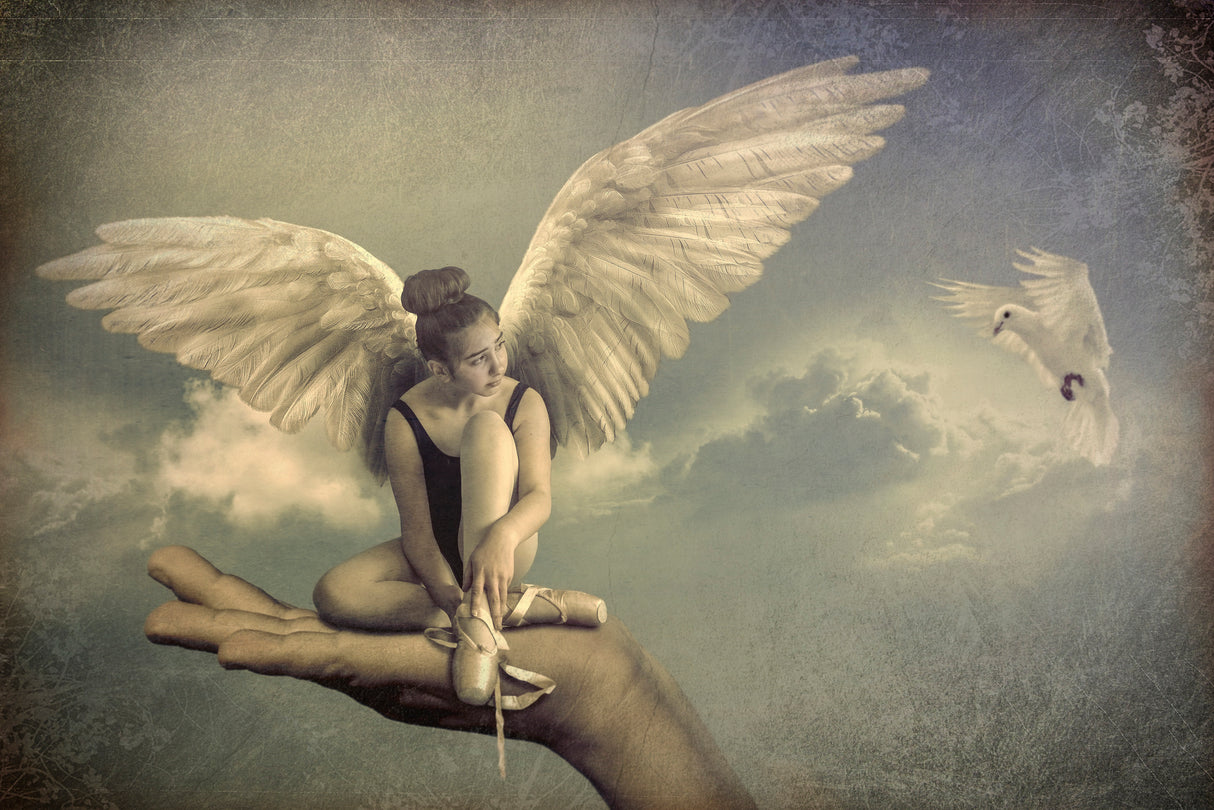 Spread your wings Poster och Canvastavla