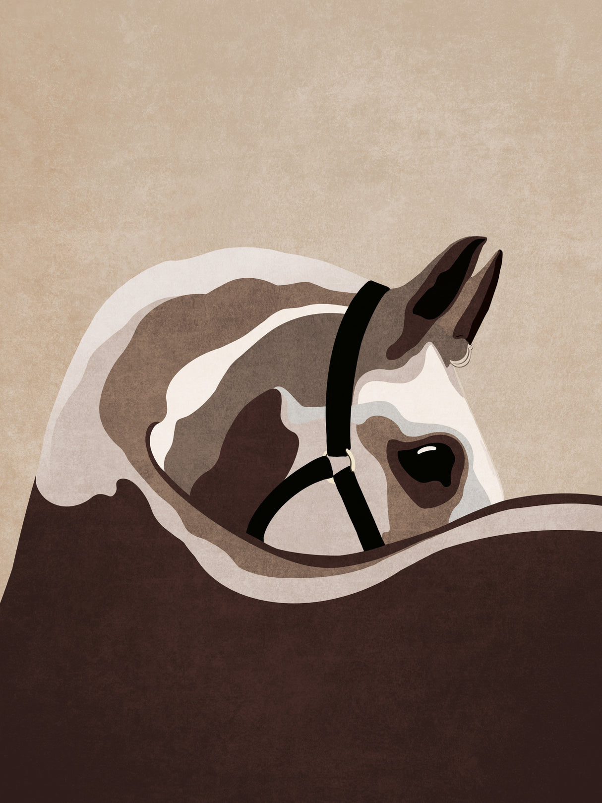 Horse02 Poster och Canvastavla