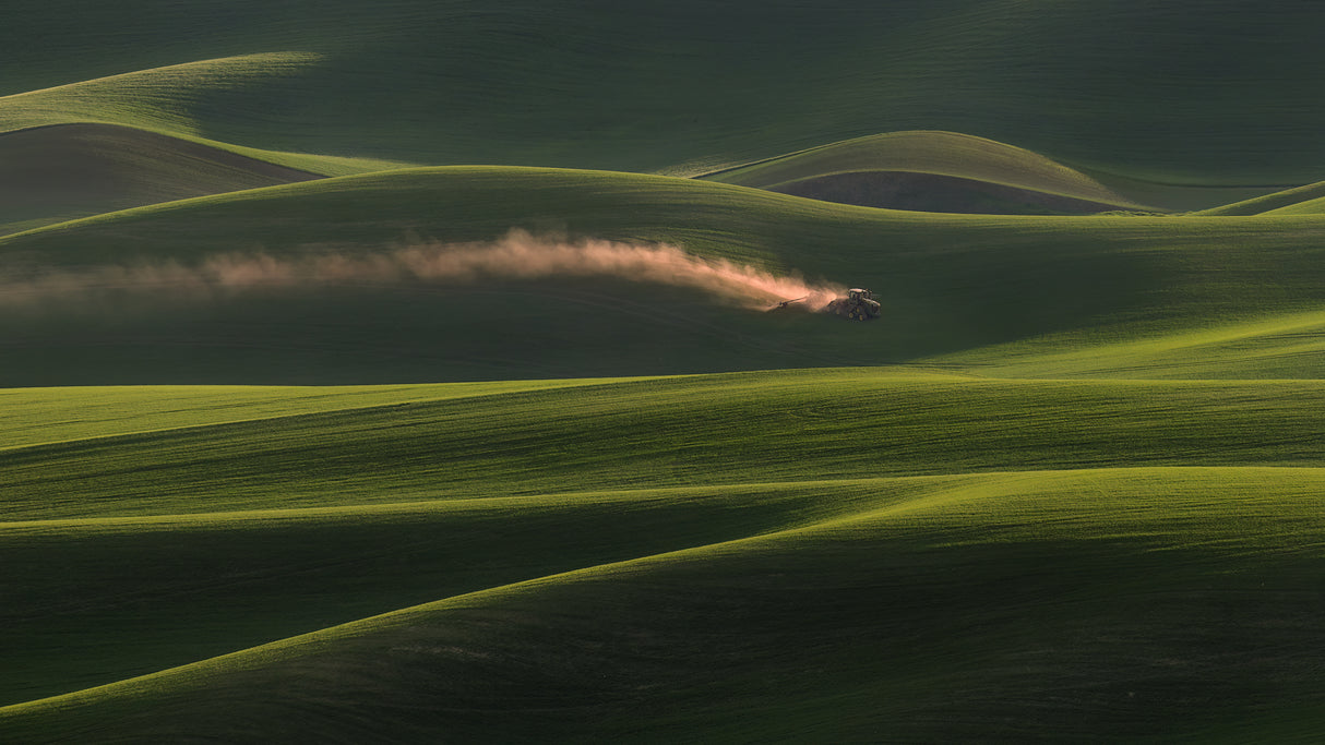 Rhythm in the Palouse Poster och Canvastavla