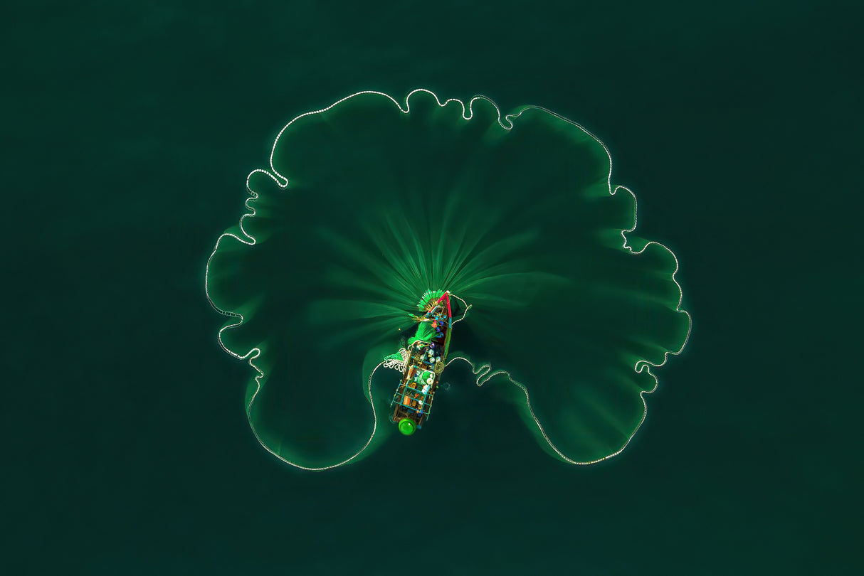 OCEAN LOTUS LEAF Poster och Canvastavla