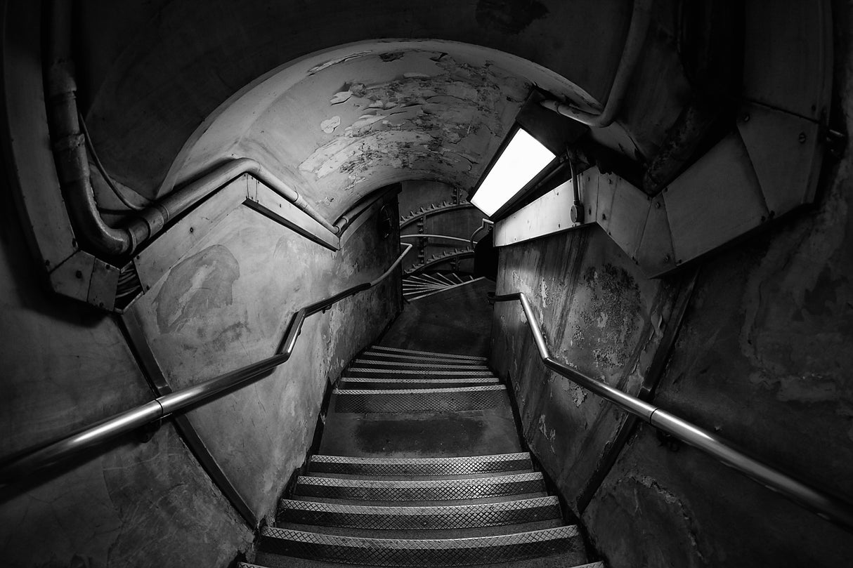 Down the rabbit hole Poster och Canvastavla