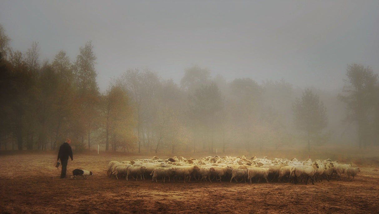 Foggy memory of the past Poster och Canvastavla