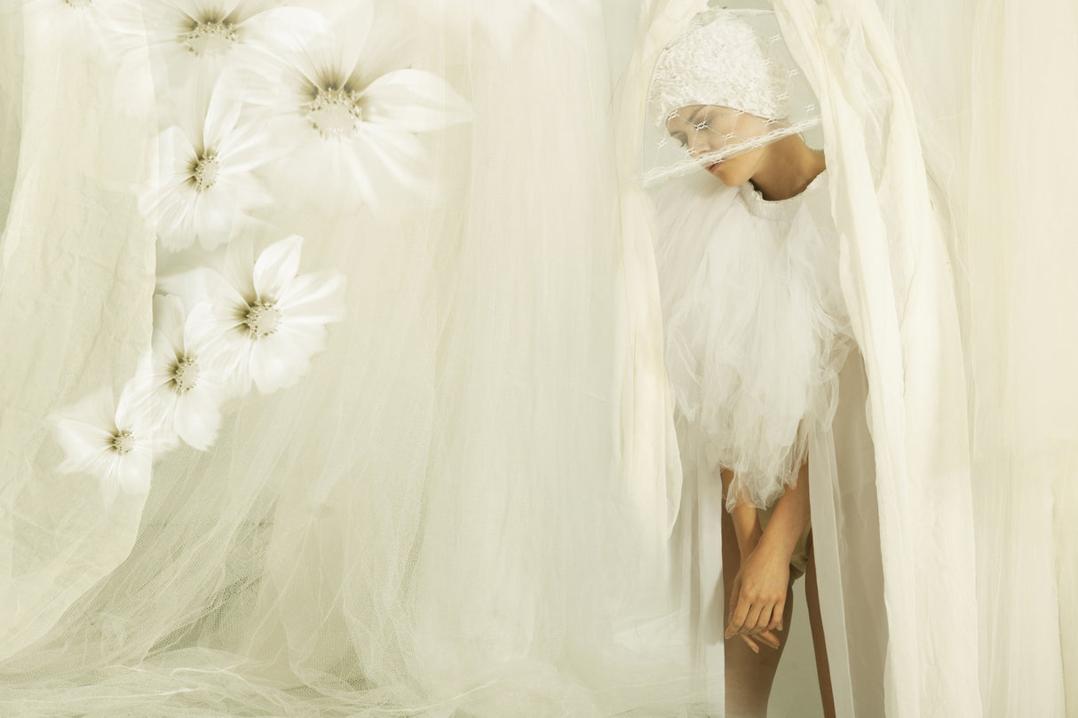 behind the curtain Poster och Canvastavla