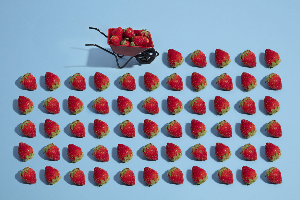 Fresas Poster och Canvastavla