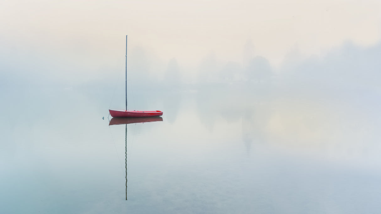 Lost in fog Poster och Canvastavla