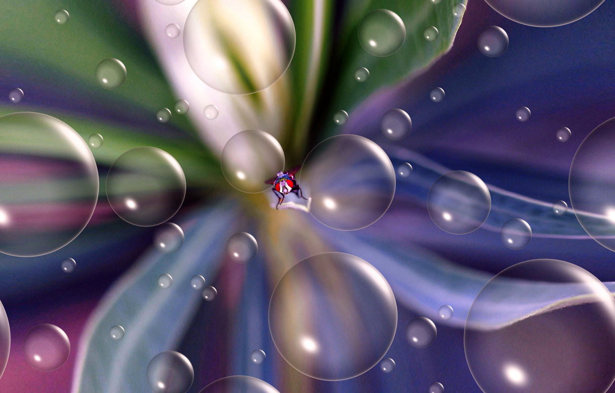In the heart of the rainbow... Poster och Canvastavla