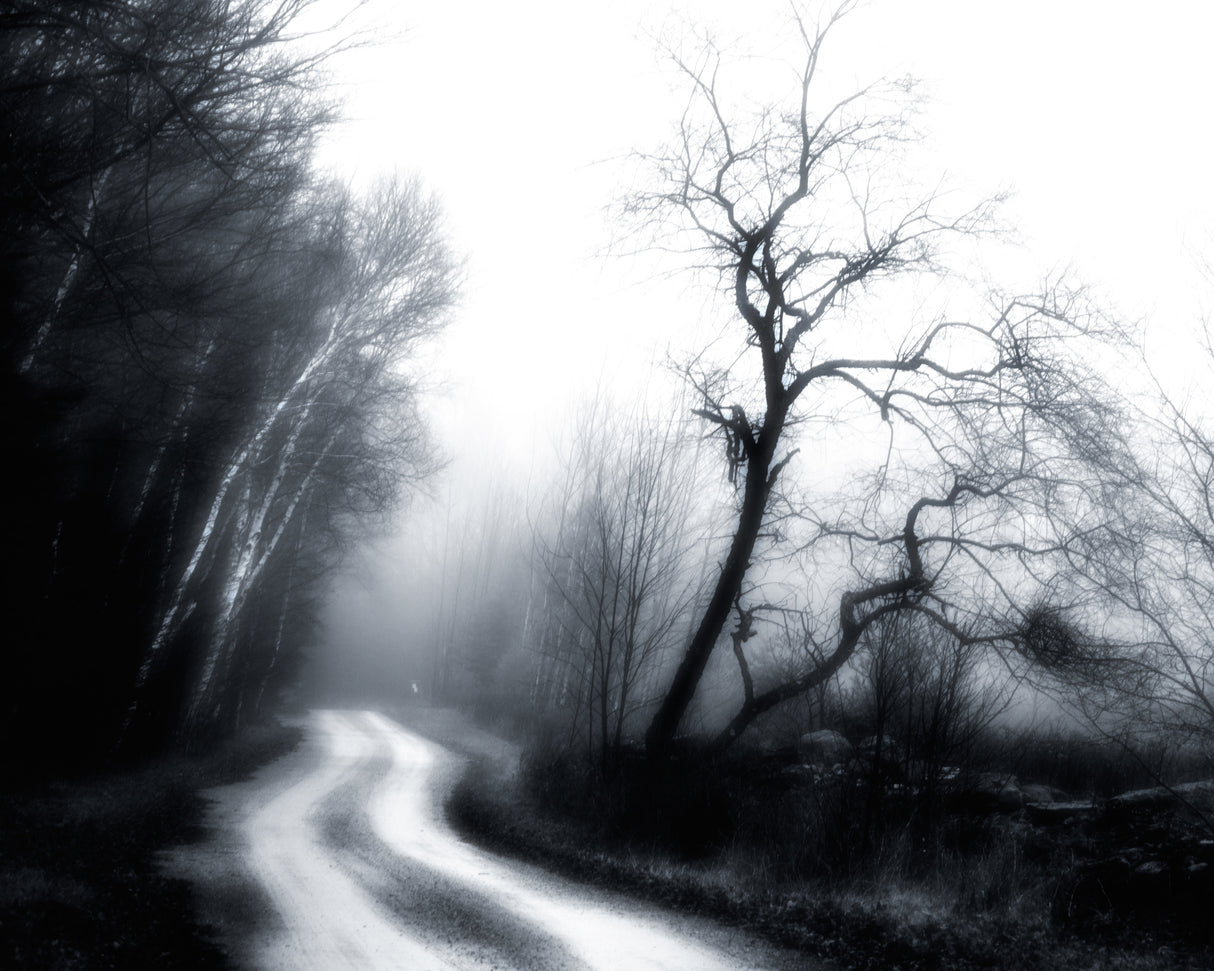 They Were Last Seen Walking Into the Fog..... Poster och Canvastavla