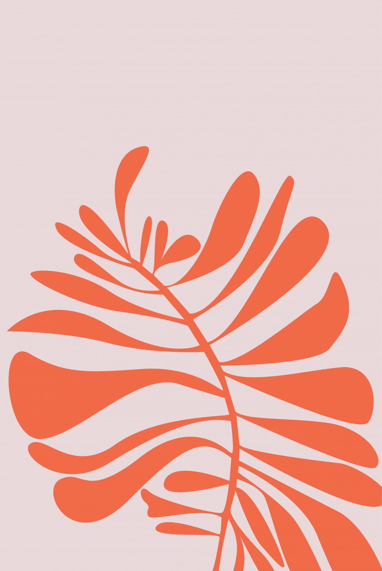 Palm Poster och Canvastavla