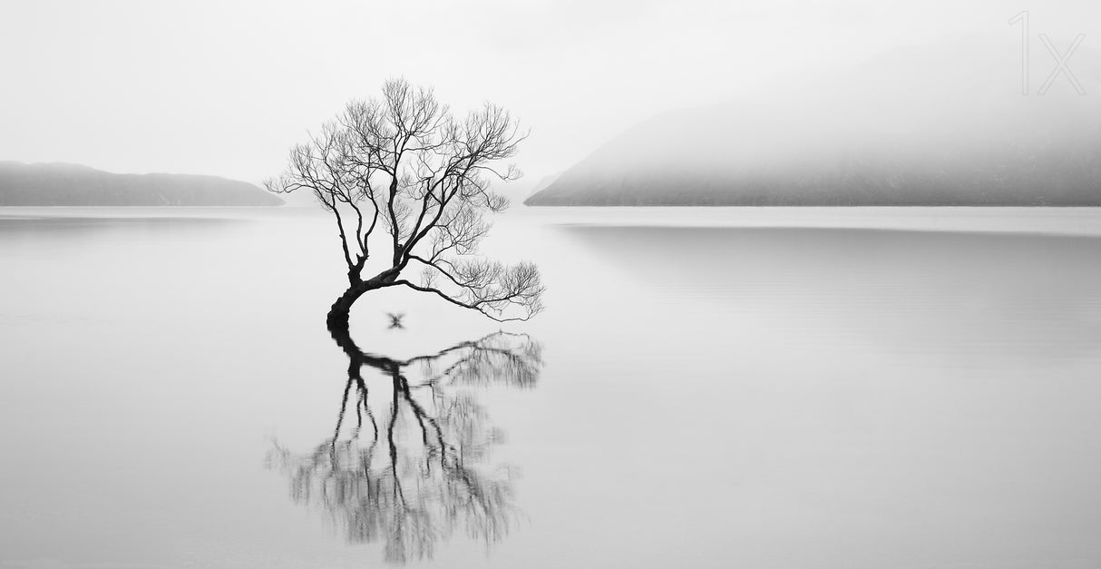 Serenity Poster och Canvastavla