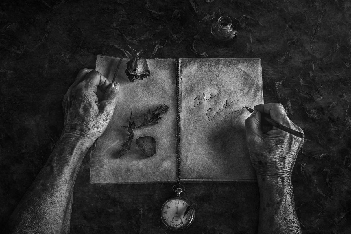 Final chapter Poster och Canvastavla