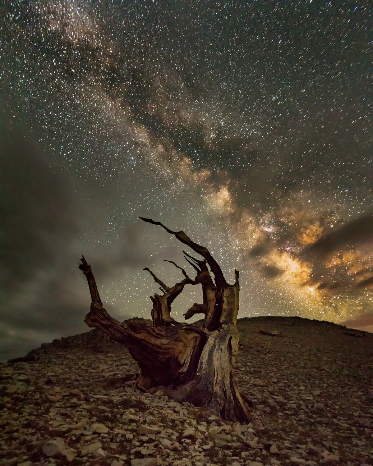 Milky Way comes to White Mountain Poster och Canvastavla