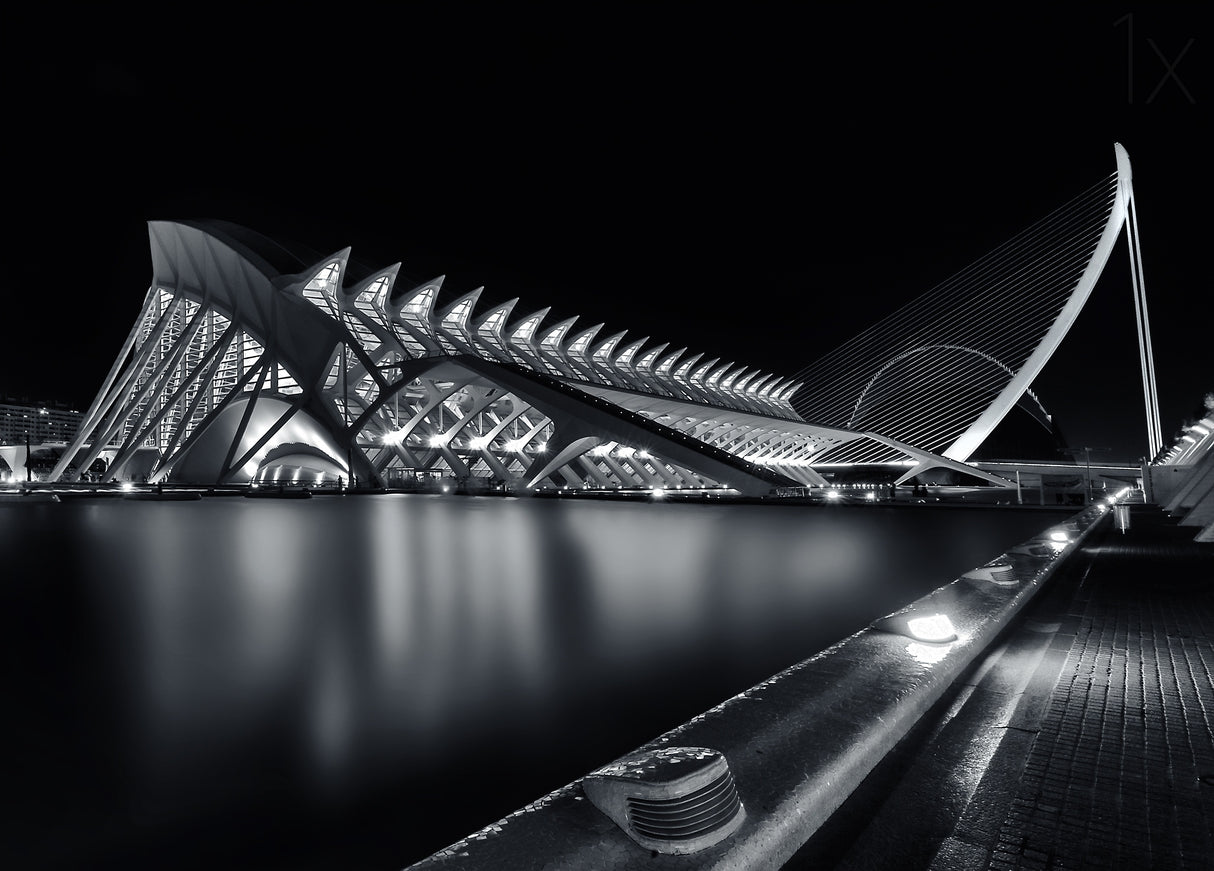 Calatrava's City Poster och Canvastavla