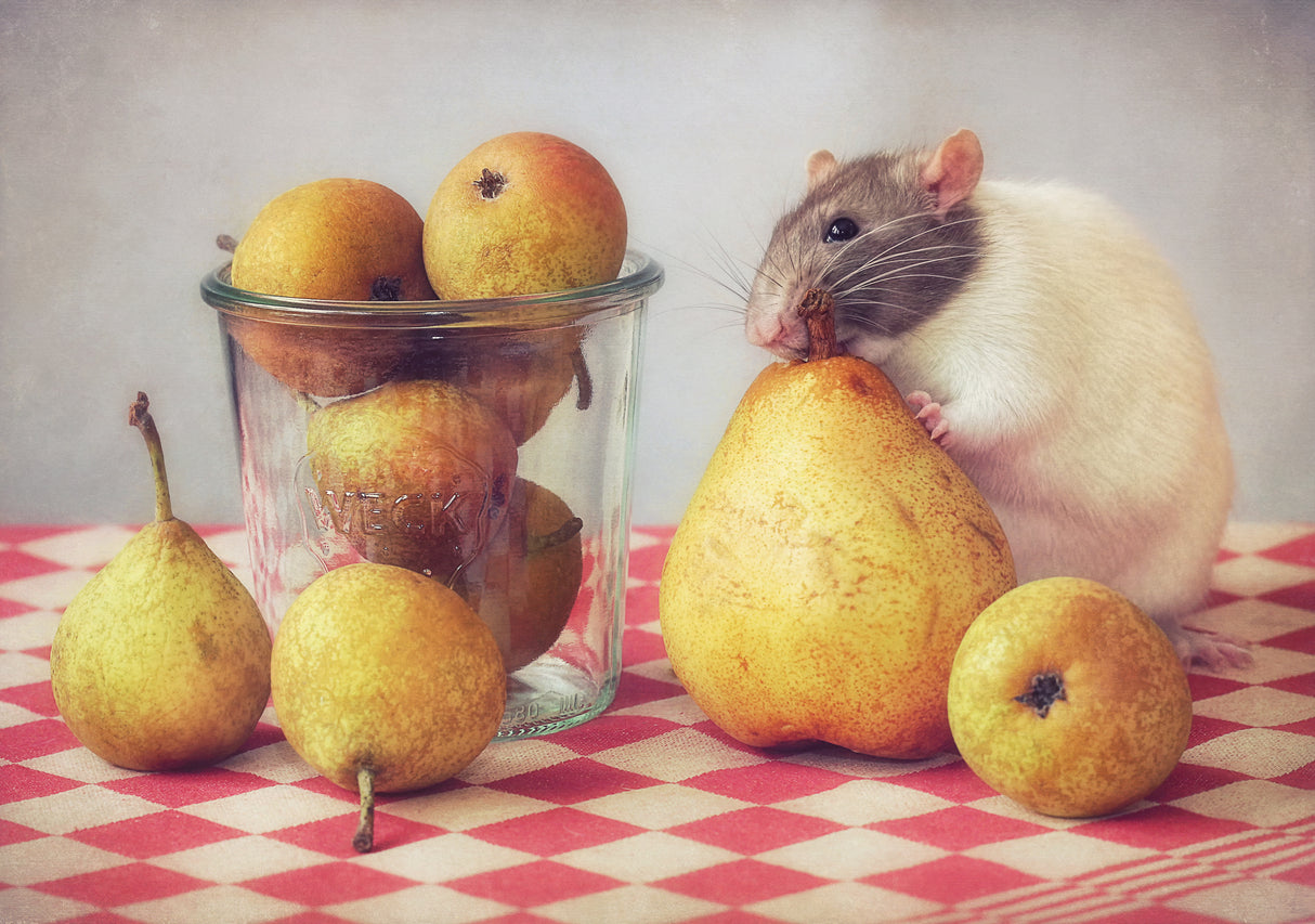 Pears Poster och Canvastavla