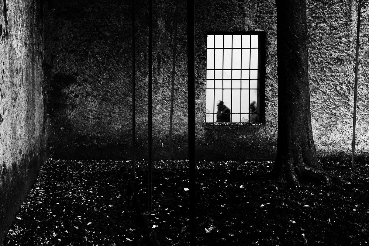 Closed garden Poster och Canvastavla