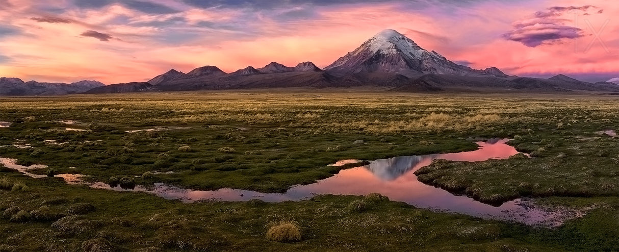 Sajama Poster och Canvastavla