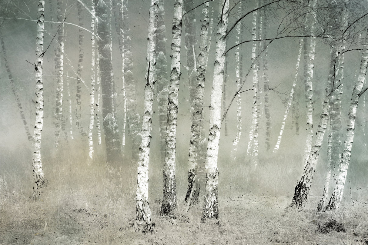 Morning silence Poster och Canvastavla