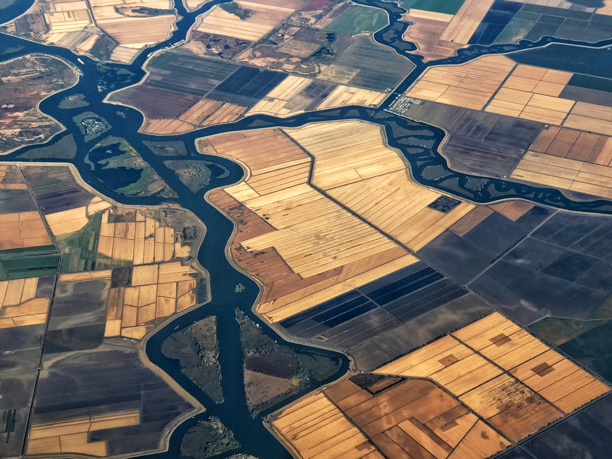 Delta Farmland Poster och Canvastavla