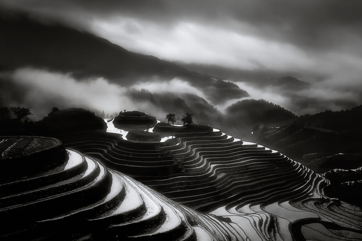 The terraced fields. Poster och Canvastavla