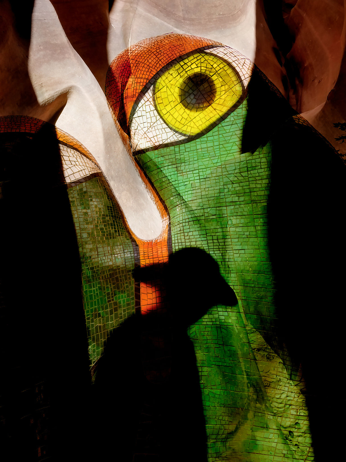 The watching eye Poster och Canvastavla