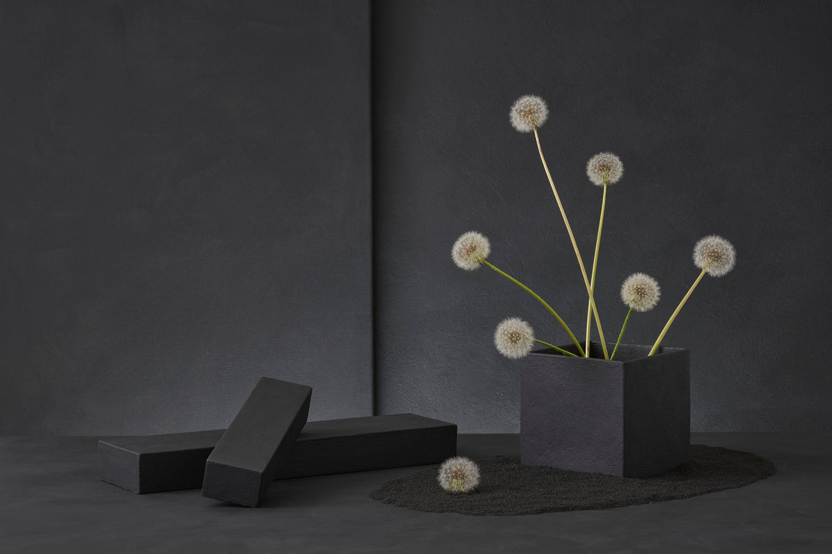 Dandelion Poster och Canvastavla