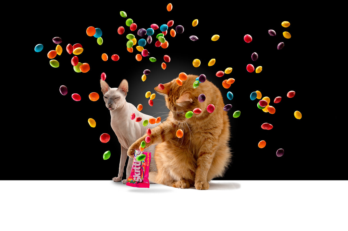 Skittles time Poster och Canvastavla