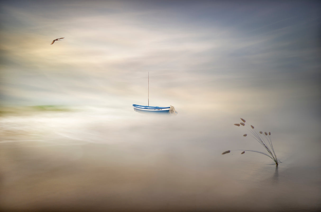 Dreaming of the sea Poster och Canvastavla