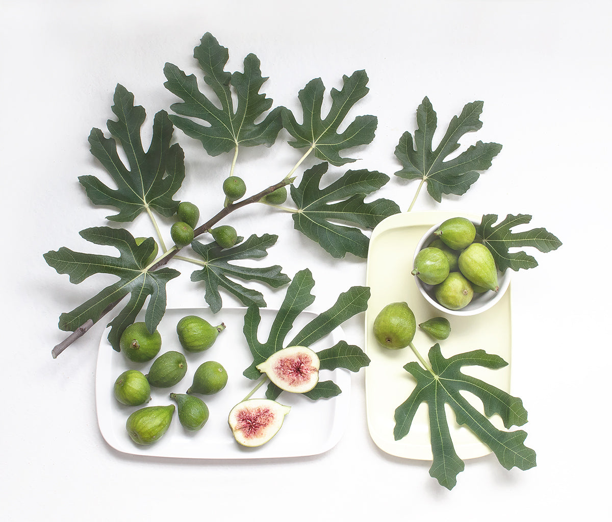 Still life with figs Poster och Canvastavla